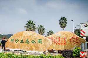 同沙生态公园-大型刻字招牌黄蜡石